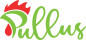 Pullus Africa Solutions Ltd logo